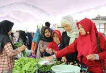 Pemprov Kalsel Akan Gelar GPM 12 Maret 2026