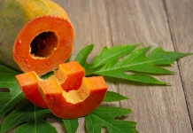 Manfaat Daun Pepaya Jepang untuk Kesehatan