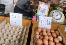 Harga Telur Ayam Terus Mengalami Kenaikan