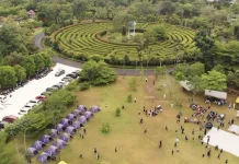 Pembenahan Infrastruktur Dorong Kenyamanan Pengunjung Kebun Raya Banua