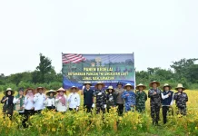 Pemprov Kalsel Apresiasi Panen Kedelai Lanal Banjarmasin