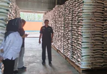 Stok Aman, Cadangan Pangan Balangan Mencukupi hingga Satu Tahun ke Depan