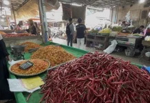 Minggu Kedua Ramadan, Harga Cabai Melonjak Naik