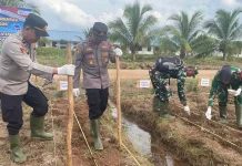 Gandeng Swasta, Polres Batola Tanam Jagung Dukung Swasembada Pangan