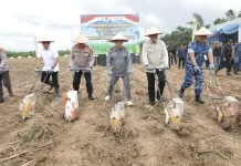 Pemprov Kalsel Dukung Polda Jadikan Tala Sentra Jagung