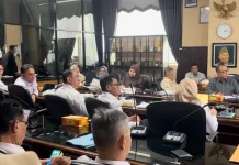 Komisi IV DPRD Kalsel Soroti Dana Pendampingan Kesehatan