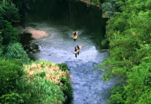 Hari Aksi Internasional untuk Sungai Diperingati 14 Maret