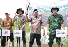Bupati Batola Dorong Kolaborasi untuk Sukseskan Program Cetak Sawah Rakyat