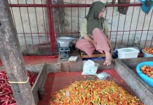 Harga Cabai Rawit di Banjarmasin Melonjak jelang Idulfitri