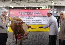 Kapolda Kalsel Serahkan 2 Ekor Sapi untuk Haul Datu Kalampayan ke-220