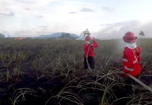 Seluruh Daerah di Kalsel Diminta Waspada Lebih Awal Terhadap Karhutla