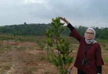 Program REDD+ Pemprov Kalsel Tumbuh Baik