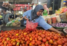 Harga Tomat Meroket hingga Tiga Kali Lipat Pasca Lebaran