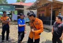 Masuk Permukiman Warga, Seekor Anak Bekantan di Balangan Dievakuasi