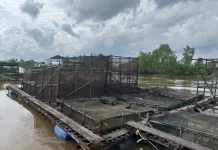 Pendangkalan saat Kemarau Jadi Kekhawatiran Pembudi Daya Ikan di Banua Anyar