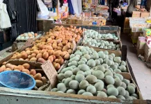 Harga Telur Ayam Ras Turun Pasca Lebaran