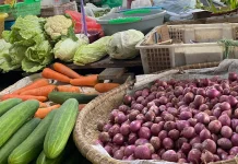 Banjarmasin Catat Inflasi Tahun Kalender Terendah di Kalsel Sebesar 1,25 Persen