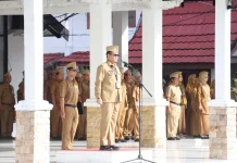 Pemkab Batola Ajak Orang Tua Awasi Gawai Anak