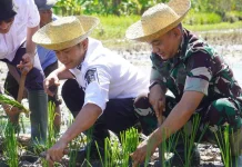 Sawah Terancam Beton, Wali Kota Banjarmasin Kirim Sinyal Keras