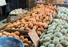Stok Melimpah, Harga Telur Ayam Ras Kembali Turun