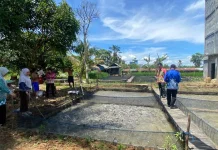 Budidaya Ikan Lele BUMDes Makmur Jaya