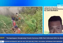 Waspada Karhutla, BMKG Ingatkan Potensi Musim Kemarau di Kalsel