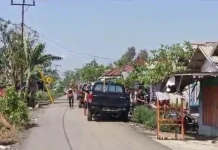 Basarnas Perkuat Koordinasi Hadapi Dampak El Nino Godzilla