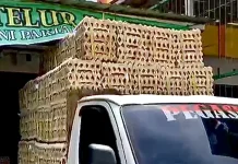 Harga Telur Ayam di Banjarbaru Kembali Turun