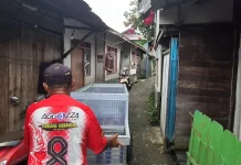 Menembus Lorong Sempit Demi Gizi Siswa