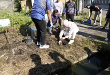 Tanam 100 Pohon, tapi Sampah Masih Dibuang Sembarangan?