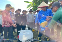 UPT Kementan Sukses Tanam Serempak 50 Ribu Hektar