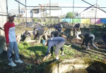Weekend Produktif! Dari Kayuh Sepeda hingga Aksi Bersih-Bersih di Taman Satwa