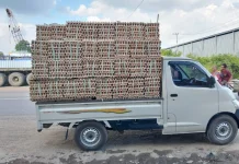 Stok Melimpah, Harga Telur Ayam Banjarbaru Turun Lagi