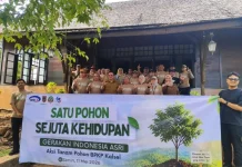 HUT ke-43 BPKP Pemprov Kalsel Gerakan Penghijauan