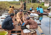 Dislautkan Kalsel Dorong Haruan Estate