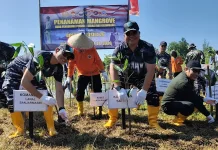Wujudkan Indonesia ASRI, Operasi Trisila 26 Bersihkan Pantai dan Tanam Mangrove