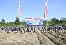 Perkuat Ketahanan Pangan Operasi Trisila 26 TNI AL Tanam Kedelai di Banjarbaru