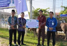 Menjelang Iduladha, Pemkab Balangan Salurkan Puluhan Sapi Kurban CSR Bank Kalsel