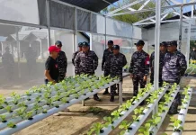 Perkuat Ketahanan Pangan DPKP Kalsel Bersama TNI AL Kembangkan Pertanian Terpadu