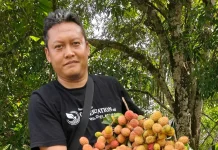 Buah Lokal Kalsel Kian Tak Dikenal