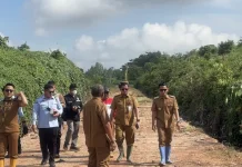 TPA Basirih Menghijau, Sudah Bisakah Dibuka?