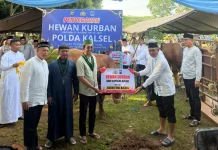 BADKO HMI Terima Hewan Kurban dari Polda Kalsel