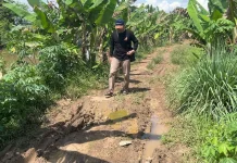 Akses Jalan Rusak, Petani Terpaksa Manfaatkan Jalur Sungai