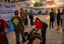 BRI Region 14 Banjarmasin Tebar Kepedulian Melalui Penyaluran Hewan Kurban