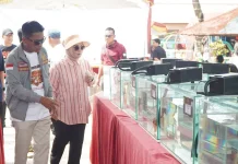 Kontes Ikan Hias Wali Kota Cup 2026, Komunitas Berkumpul, UMKM Panen Pembeli