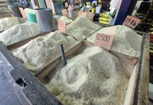 Stok Langka dan Benih Mahal, Harga Beras Banjar di Banjarmasin Melonjak