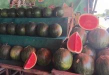 Semangka Banjarbaru Jadi Favorit Warga saat Cuaca Panas