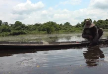 DKP3 Tabalong Terus Perkuat Upaya Pencegahan, meski Kasus Illegal Fishing Nihil