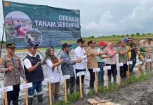 UPT Kementan Sukseskan Giat Tanam Serentak di Batola