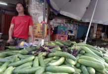 Buah Timun Melimpah, Harga Dipasaran Melemah
